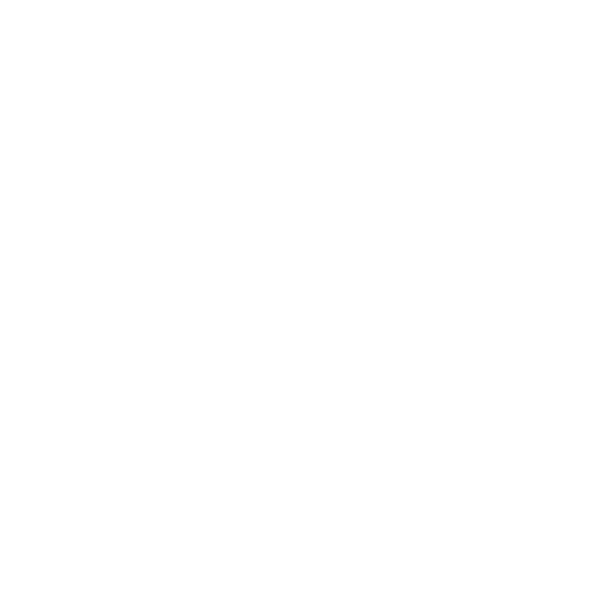 Ali's Pizza